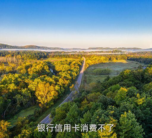 中国银行信用卡消费不了