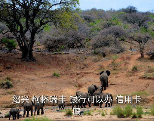 绍兴 柯桥瑞丰 银行可以办 信用卡吗