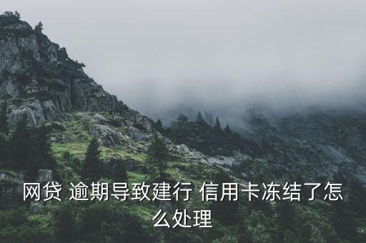 网贷 逾期导致建行 信用卡冻结了怎么处理