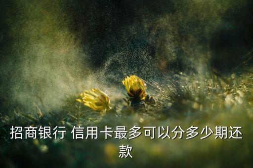 招商银行 信用卡最多可以分多少期还款