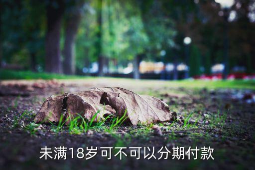 未满18岁可不可以分期付款