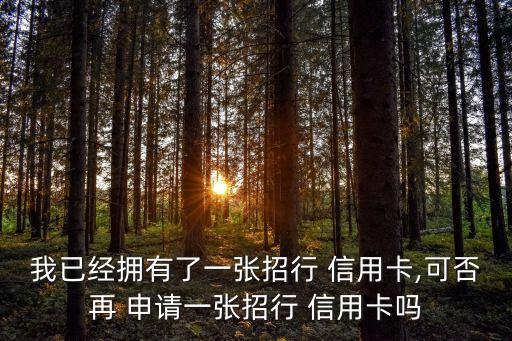 已经有信用卡的能在申请吗