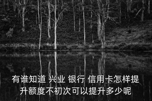 有谁知道 兴业 银行 信用卡怎样提升额度不初次可以提升多少呢