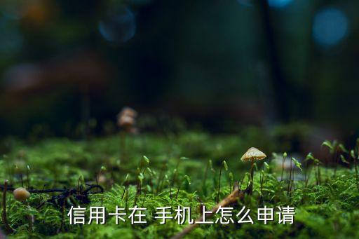  信用卡在 手机上怎么申请