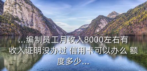 ...编制员工月收入8000左右有收入证明没办过 信用卡可以办么 额度多少...