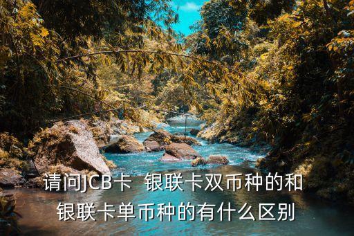请问JCB卡  银联卡双币种的和 银联卡单币种的有什么区别