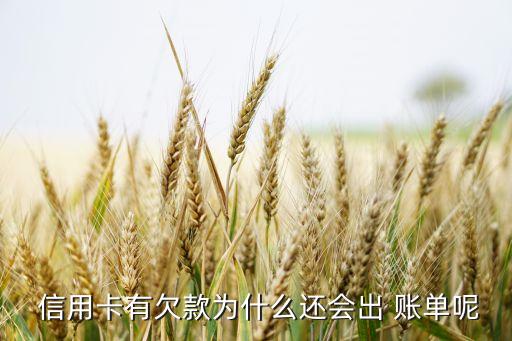 信用卡有账单和还款
