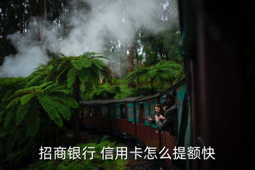 招商银行 信用卡怎么提额快