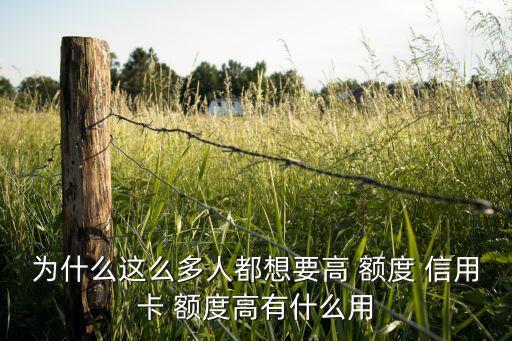 为什么这么多人都想要高 额度 信用卡 额度高有什么用