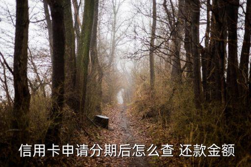  信用卡申请分期后怎么查 还款金额