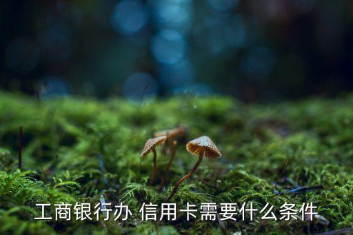工商银行办 信用卡需要什么条件