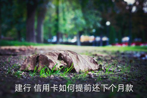  建行 信用卡如何提前还下个月款