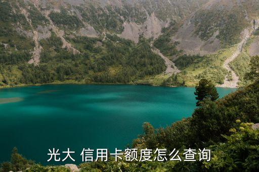 光大 信用卡额度怎么查询