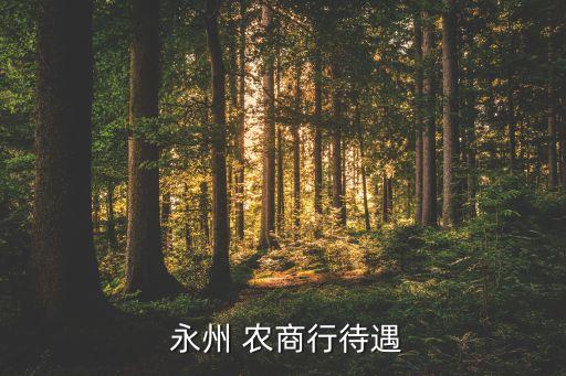  永州 农商行待遇