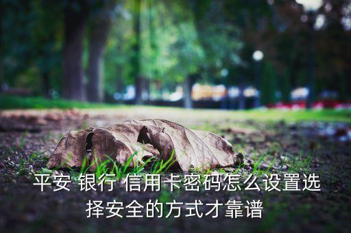  平安 银行 信用卡密码怎么设置选择安全的方式才靠谱