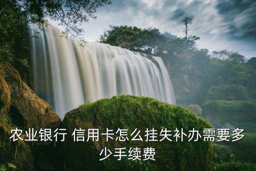农业银行 信用卡怎么挂失补办需要多少手续费