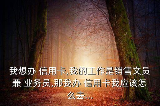 我想办 信用卡,我的工作是销售文员兼 业务员,那我办 信用卡我应该怎么去...