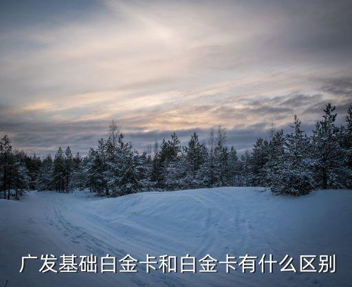  广发基础白金卡和白金卡有什么区别