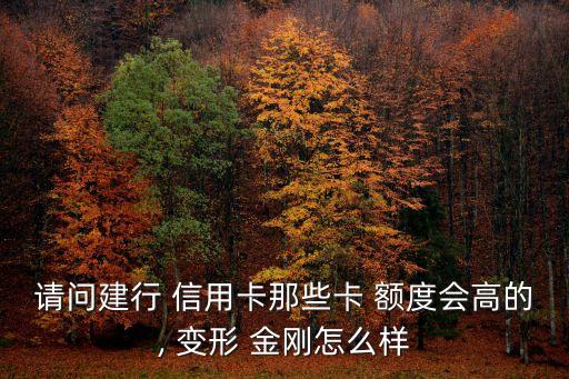 请问建行 信用卡那些卡 额度会高的, 变形 金刚怎么样
