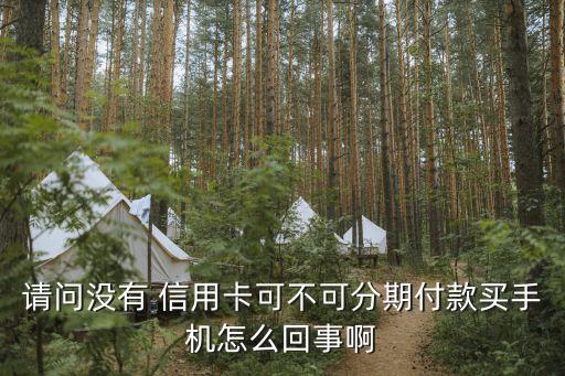 请问没有 信用卡可不可分期付款买手机怎么回事啊