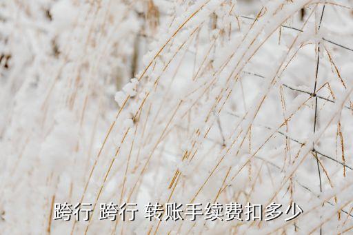  跨行 跨行 转账手续费扣多少