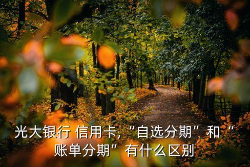 光大银行 信用卡,“自选分期”和“账单分期”有什么区别