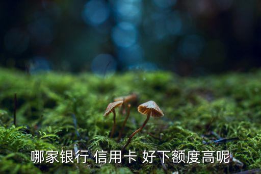 哪家银行 信用卡 好下额度高呢