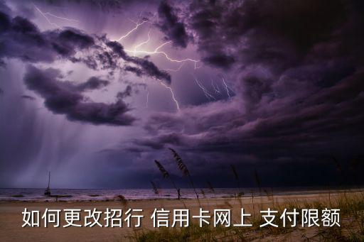 如何更改招行 信用卡网上 支付限额