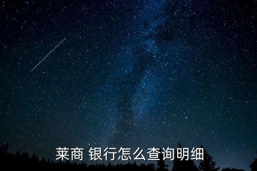  莱商 银行怎么查询明细