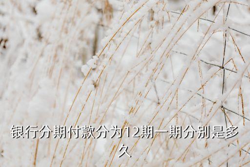 银行分期付款分为12期一期分别是多久