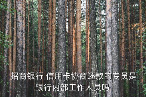  招商银行 信用卡协商还款的专员是银行内部工作人员吗