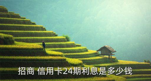 招商 信用卡24期利息是多少钱