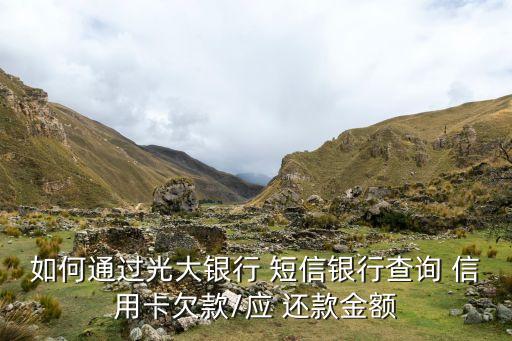 如何通过光大银行 短信银行查询 信用卡欠款/应 还款金额