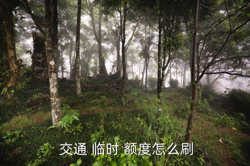 交通信用卡有哪些临时额度