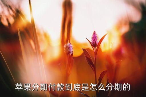 iPhone11淘宝信用卡分期,iphone11淘宝怎么滚动截长图