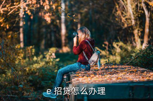 e 招贷怎么办理