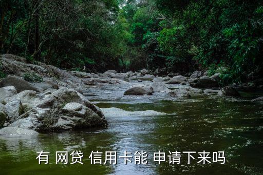 有 网贷 信用卡能 申请下来吗