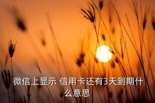 微信信用卡还款可以分几期,微信可以信用卡还款吗