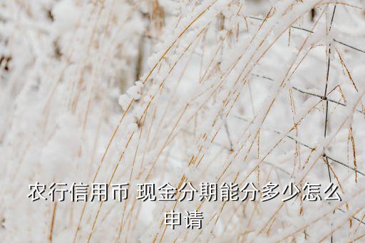  农行信用币 现金分期能分多少怎么申请