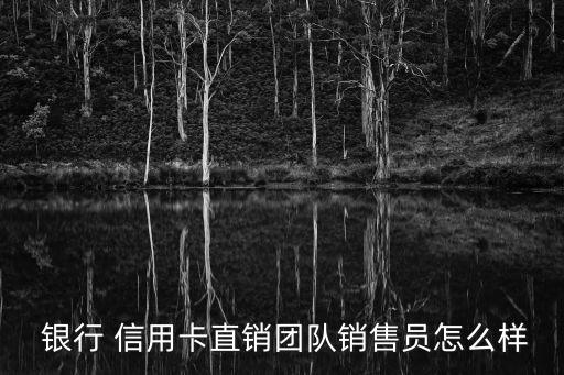  银行 信用卡直销团队销售员怎么样