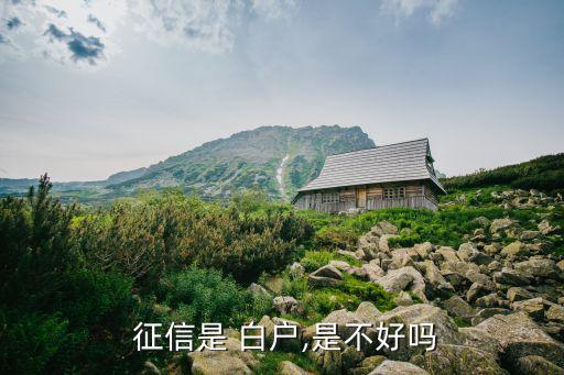 征信白户信用卡额度高吗,白户使用信用卡多久上征信记录