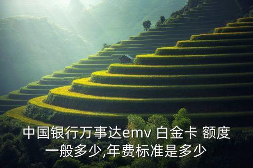 中国银行万事达emv 白金卡 额度一般多少,年费标准是多少