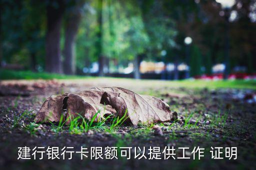 建行银行卡限额可以提供工作 证明