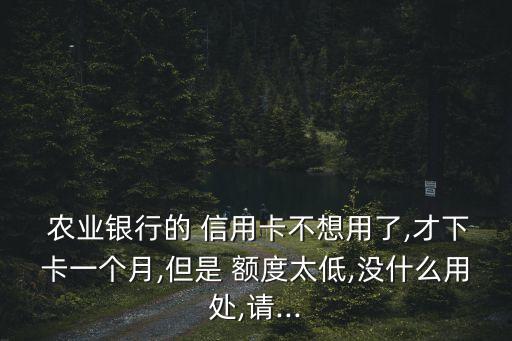 农业银行信用卡掉额度