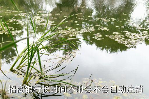  招商银行长时间不用会不会自动注销