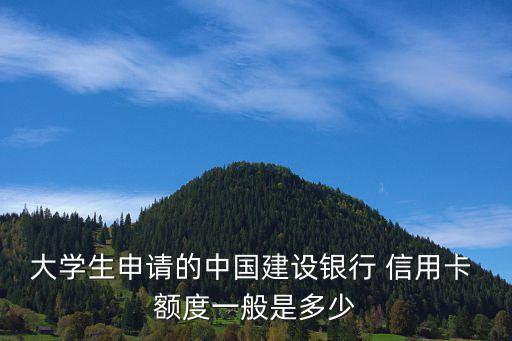 大学生申请的中国建设银行 信用卡 额度一般是多少