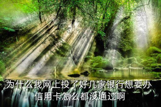 信用卡怎么申请过不了了