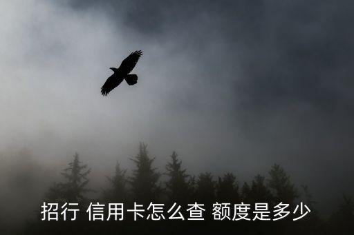 招行 信用卡怎么查 额度是多少