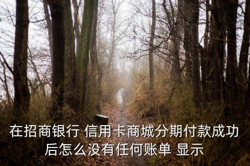 信用卡分期不显示还款