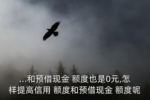 ...和预借现金 额度也是0元,怎样提高信用 额度和预借现金 额度呢